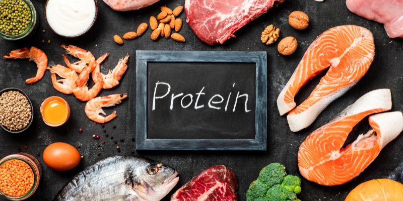 Fontes de proteínas