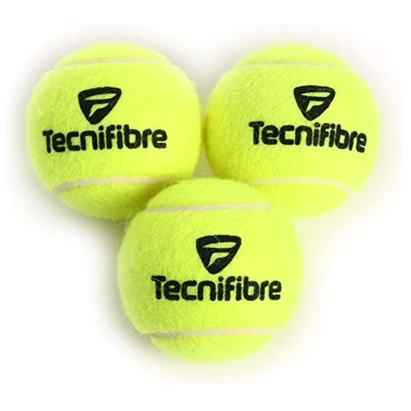 Bolas de Tênis Champion - Tecnifibre